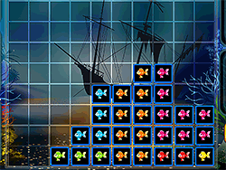 1010 Fish Blocks