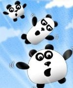 3 Pandas in Brazil
