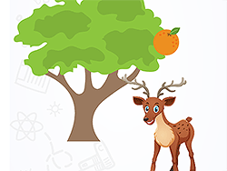 Brain Test Tricky Puzzles