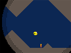 Cave Bird
