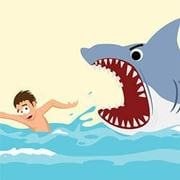 Destructo Shark
