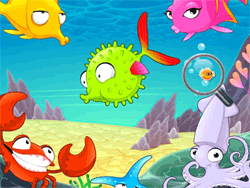 Find Sea Fish