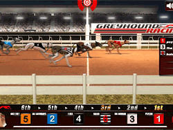 Greyhound Racing