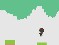 Jumping Ninja