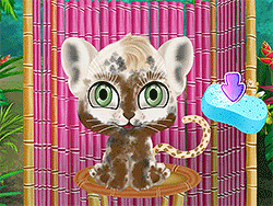 Jungle Animal Hair Salon