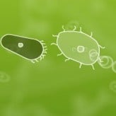 Microbe Kombat