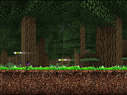 Run Minecraft Run