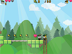 Super Raccoon World
