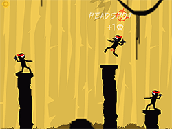 The Last Ninja