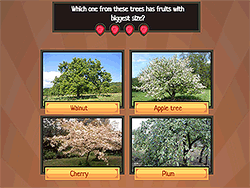 Trivia! Best Family Quiz
