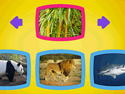 What Do Animals Eat?