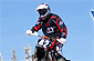 Winter Rider